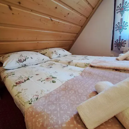 U Chowancow 公寓 Banska Nizna