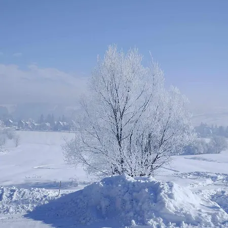 U Chowańców Apartament