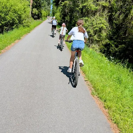 U Chowańców Apartament Banska Nizna